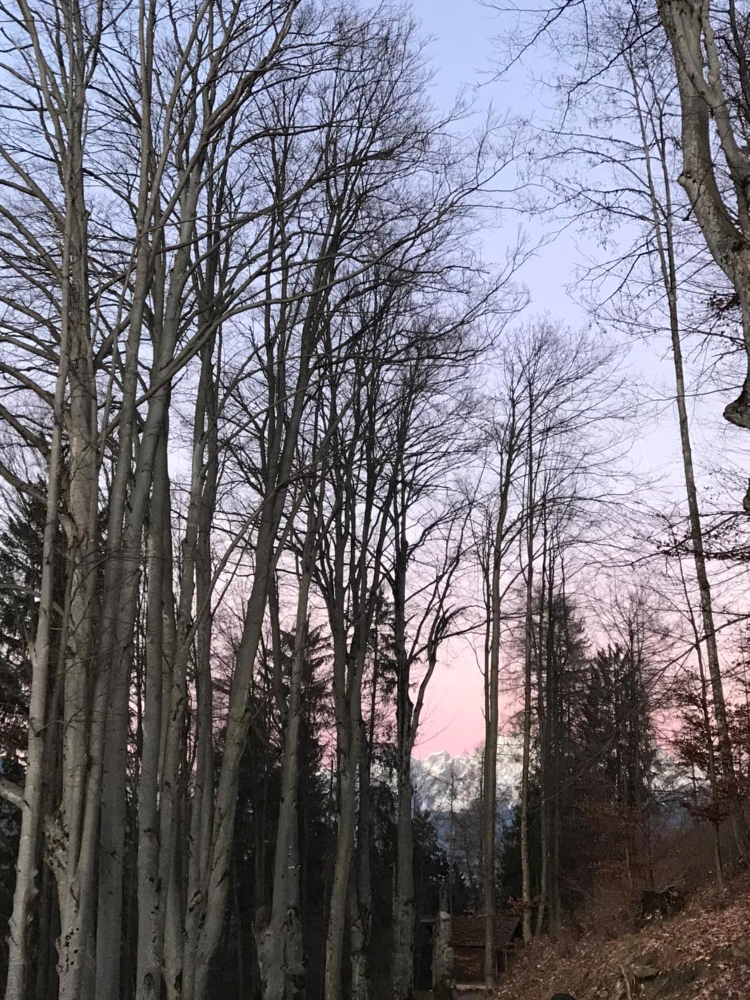 Lioda Living Pieve di Cadore Rum bild